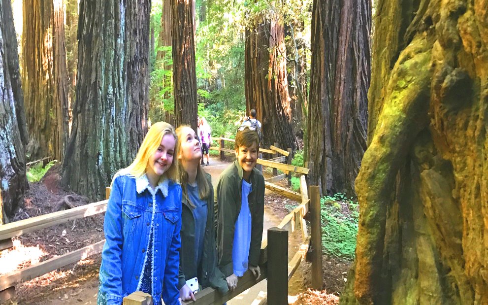 Day Trip to Muir Woods park of sequoias and Sausalito from San Francisco.JPG